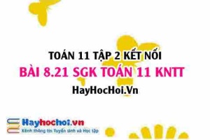 Bài 8.21 SGK Toán 11 Tập 2 Kết nối tri thức